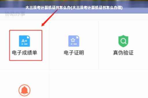 大三没考计算机证书怎么办(大三没考计算机证书怎么办理)