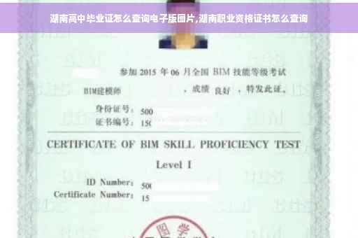 湖南高中毕业证怎么查询电子版图片,湖南职业资格证书怎么查询