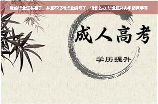 我的毕业证书丢了，并且不记得毕业编号了，该怎么办,毕业证补办申请用手写