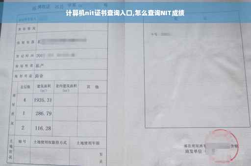 计算机nit证书查询入口,怎么查询NIT成绩