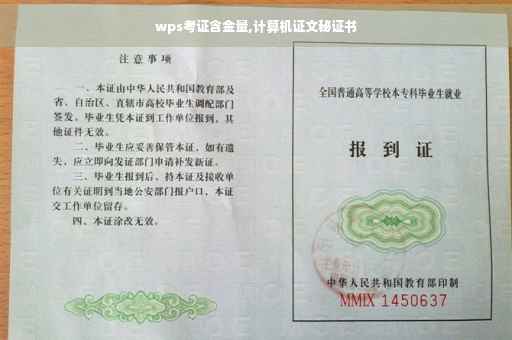 wps考证含金量,计算机证文秘证书