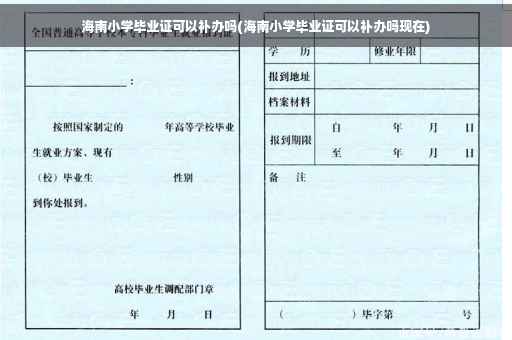 海南小学毕业证可以补办吗(海南小学毕业证可以补办吗现在)