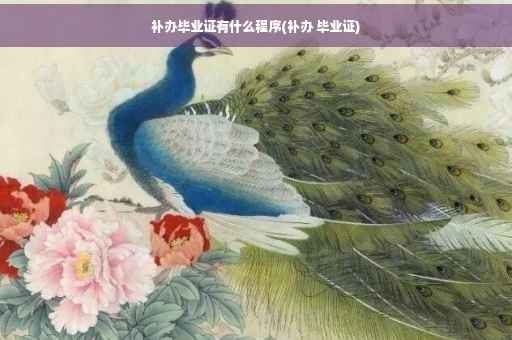 补办毕业证有什么程序(补办 毕业证)