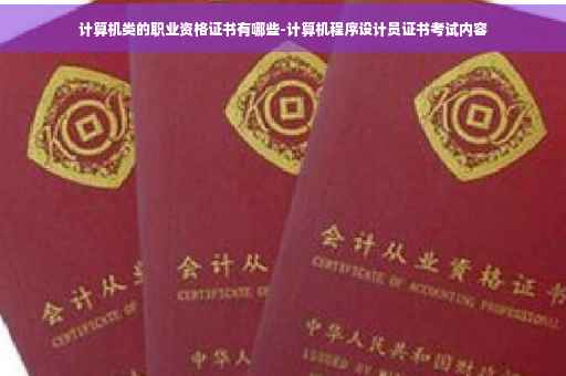计算机类的职业资格证书有哪些-计算机程序设计员证书考试内容