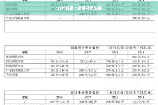 cct计算机一级证书怎么查-