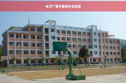 电子厂要不要高中毕业证