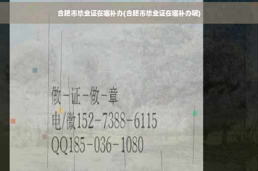 合肥市毕业证在哪补办(合肥市毕业证在哪补办呢)
