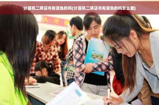 计算机二级证书有蓝色的吗(计算机二级证书有蓝色的吗怎么查)