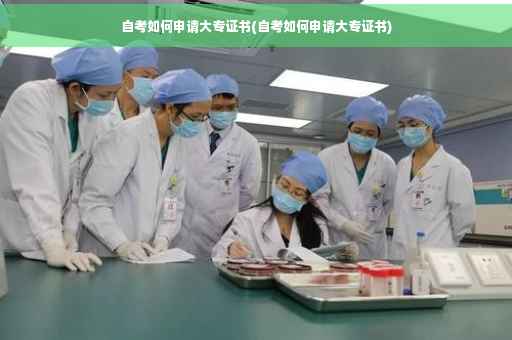 自考如何申请大专证书(自考如何申请大专证书)