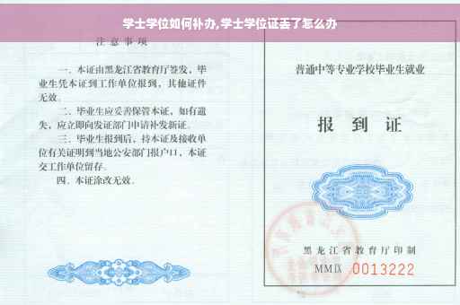 学士学位如何补办,学士学位证丢了怎么办