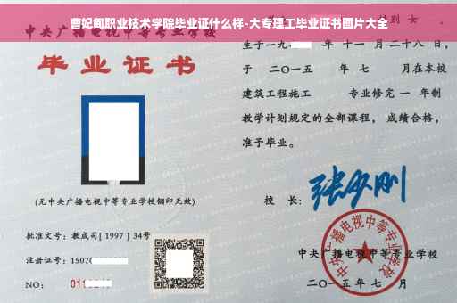 曹妃甸职业技术学院毕业证什么样-大专理工毕业证书图片大全