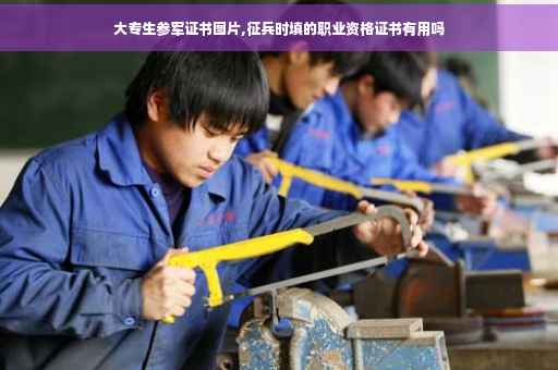 大专生参军证书图片,征兵时填的职业资格证书有用吗