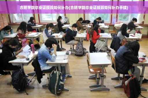 合肥学院毕业证损毁如何补办(合肥学院毕业证损毁如何补办手续)