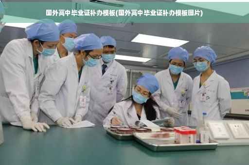 国外高中毕业证补办模板(国外高中毕业证补办模板图片)