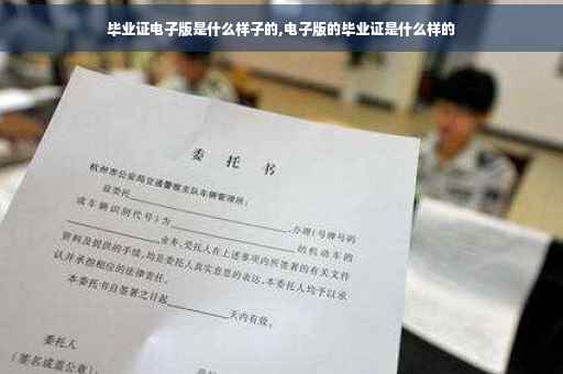 毕业证电子版是什么样子的,电子版的毕业证是什么样的
