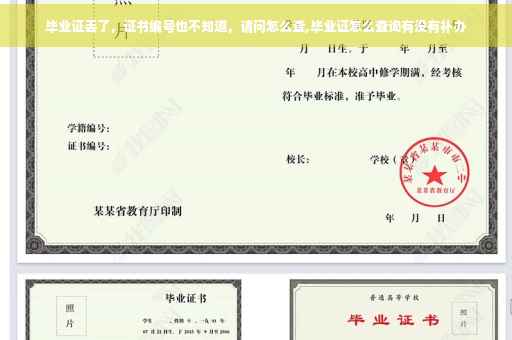 毕业证丢了，证书编号也不知道，请问怎么查,毕业证怎么查询有没有补办