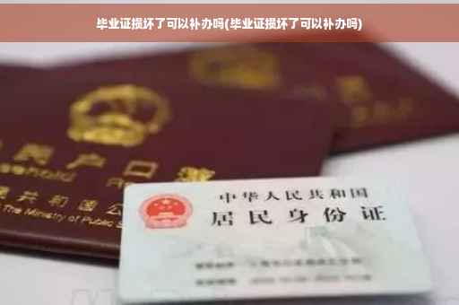 毕业证损坏了可以补办吗(毕业证损坏了可以补办吗)