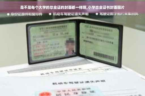 是不是每个大学的毕业证的封面都一样啊,小学毕业证书封面图片