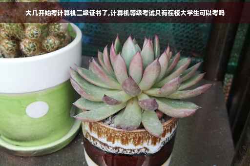 大几开始考计算机二级证书了,计算机等级考试只有在校大学生可以考吗