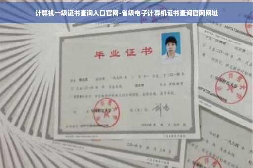计算机一级证书查询入口官网-省级电子计算机证书查询官网网址