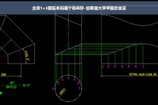 北京1+3国际本科哪个机构好-伯明翰大学学院毕业证
