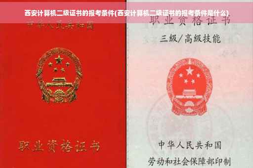 西安计算机二级证书的报考条件(西安计算机二级证书的报考条件是什么)