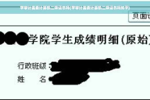 学审计需要计算机二级证书吗(学审计需要计算机二级证书吗知乎)
