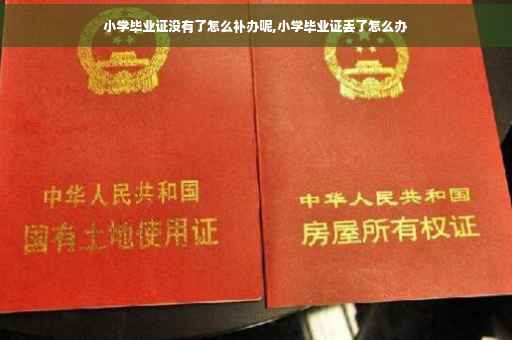 小学毕业证没有了怎么补办呢,小学毕业证丢了怎么办