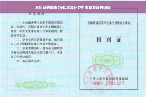 三胎证去哪里办理,宜宾补办中专毕业证去哪里