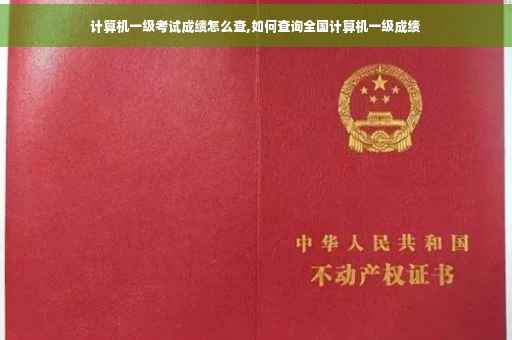 计算机一级考试成绩怎么查,如何查询全国计算机一级成绩