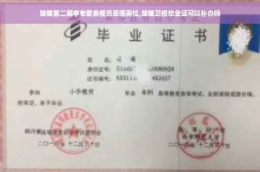 楚雄第二届孝老爱亲模范是哪两位,楚雄卫校毕业证可以补办吗