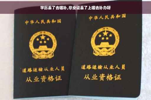 学历丢了去哪补,毕业证丢了上哪去补办呀