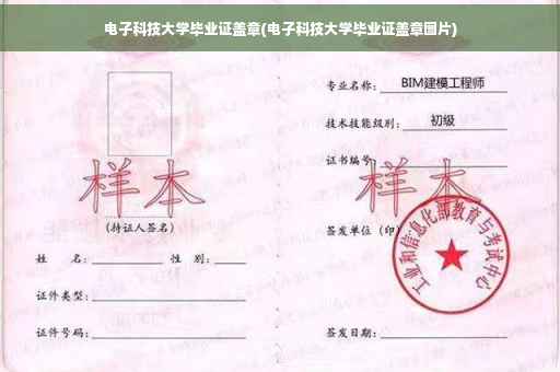 电子科技大学毕业证盖章(电子科技大学毕业证盖章图片)