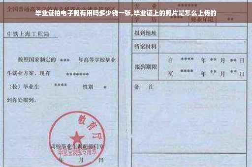 毕业证拍电子照有用吗多少钱一张,毕业证上的照片是怎么上传的