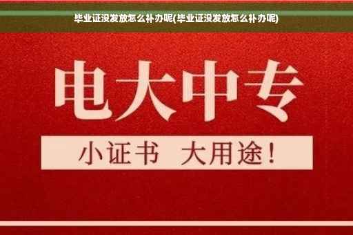 毕业证没发放怎么补办呢(毕业证没发放怎么补办呢)
