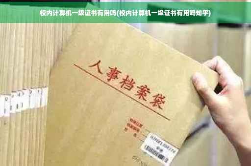 校内计算机一级证书有用吗(校内计算机一级证书有用吗知乎)