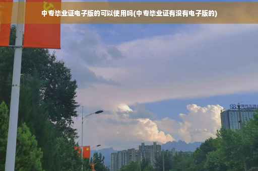 中专毕业证电子版的可以使用吗(中专毕业证有没有电子版的)