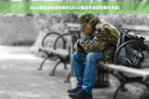 2022复旦毕业证书图片(2022复旦毕业证书图片大全)