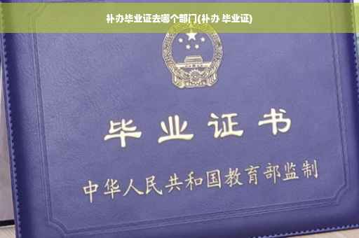 补办毕业证去哪个部门(补办 毕业证)