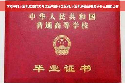 学校考的计算机应用能力考试证书是什么级别,计算机等级证书属于什么技能证书