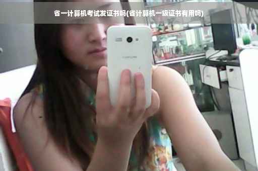 省一计算机考试发证书吗(省计算机一级证书有用吗)