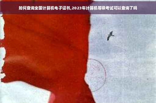 如何查询全国计算机电子证书,2023年计算机等级考试可以查询了吗