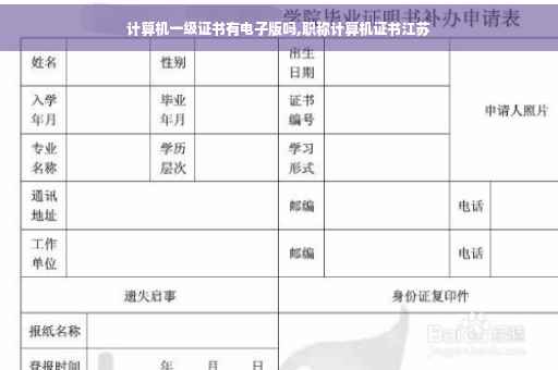 计算机一级证书有电子版吗,职称计算机证书江苏