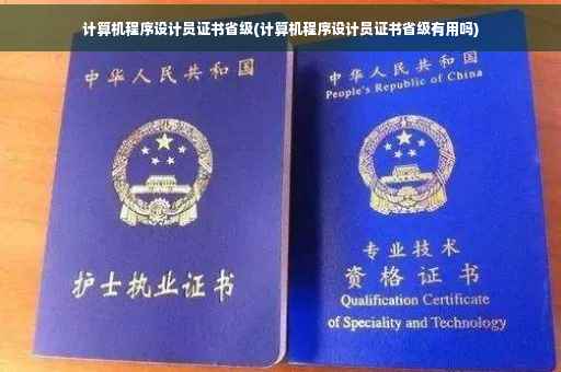 计算机程序设计员证书省级(计算机程序设计员证书省级有用吗)