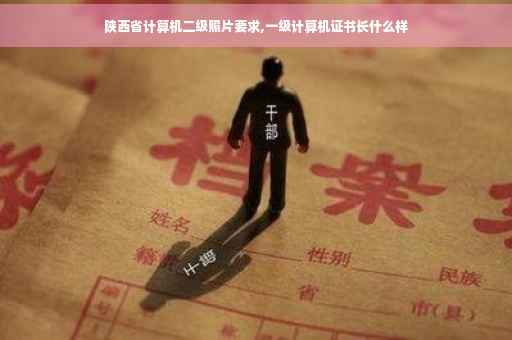 陕西省计算机二级照片要求,一级计算机证书长什么样