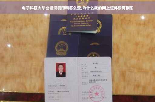 电子科技大毕业证没钢印吗怎么查,为什么我的网上证件没有钢印