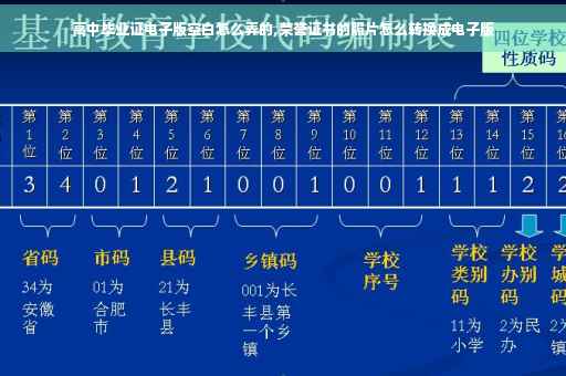 高中毕业证电子版空白怎么弄的,荣誉证书的照片怎么转换成电子版