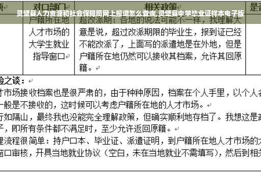 灵璧县人力资源和社会保障局网上报道怎么查询,灵壁县中学毕业证样本电子版