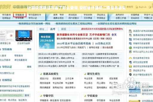计算机等级证书丢了怎么查询,安徽省计算机二级证书丢失