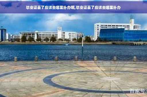 毕业证丢了应该去哪里补办呢,毕业证丢了应该去哪里补办 毕业证丢了应该去哪里补办呢,毕业证丢了应该去哪里补办